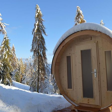 Chalet Serena Roncegno エクステリア 写真