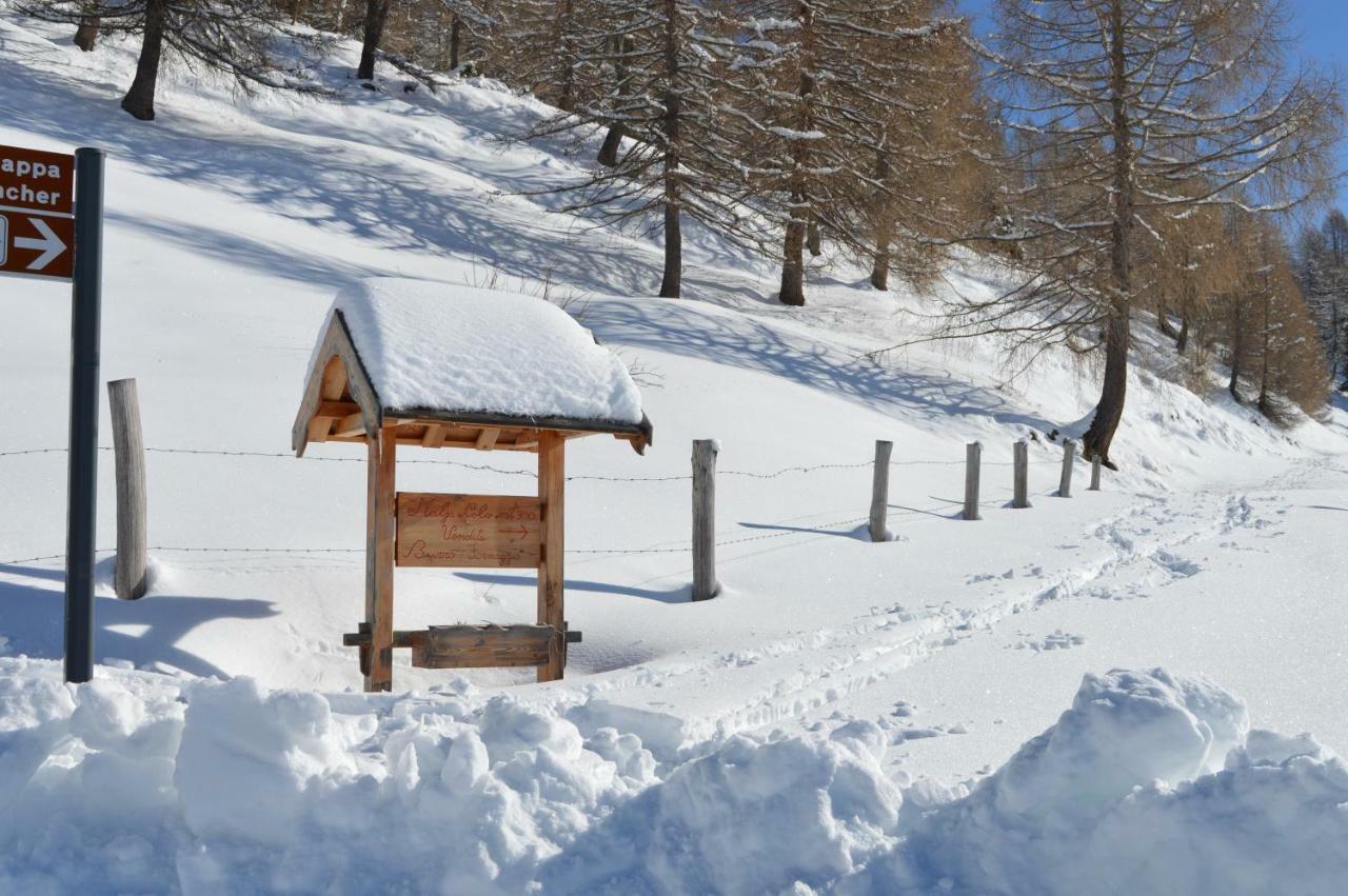Chalet Serena Roncegno エクステリア 写真