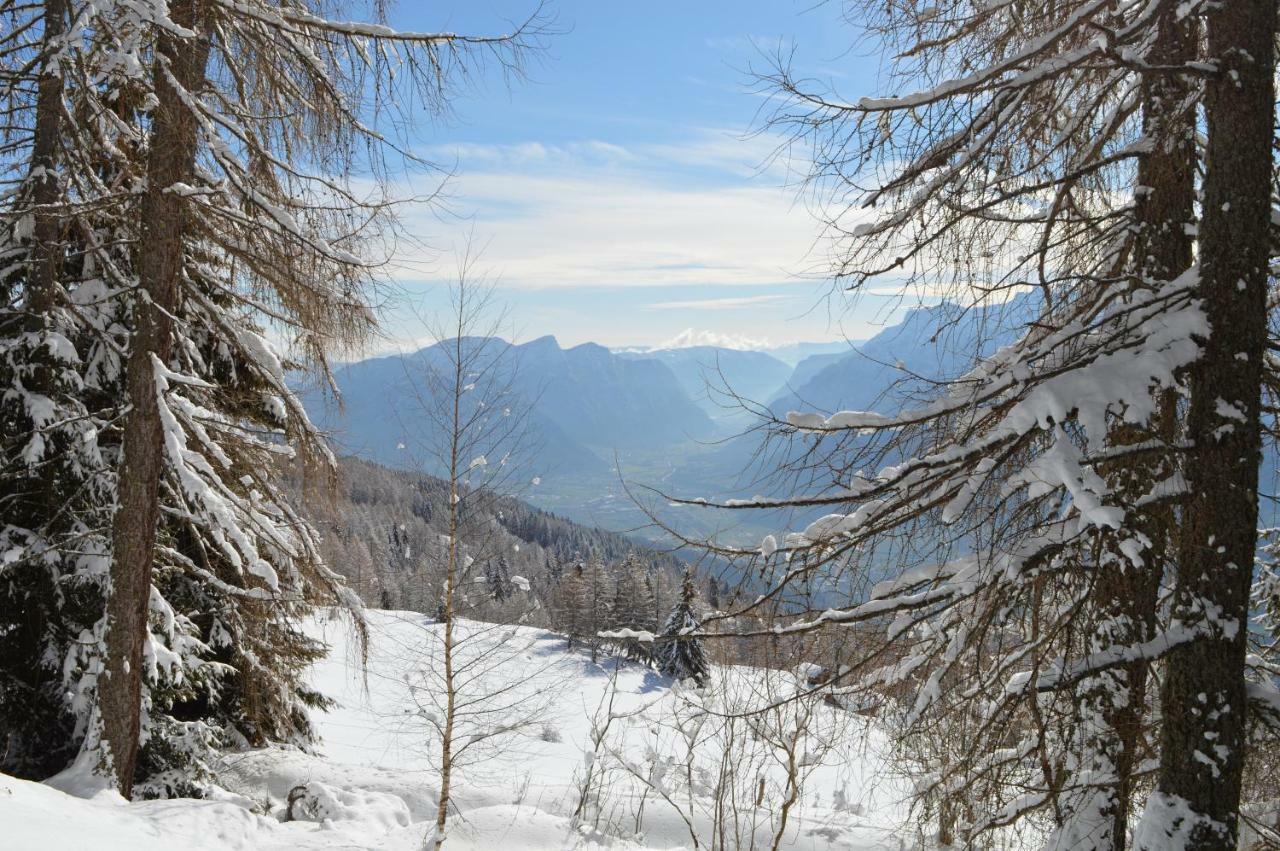 Chalet Serena Roncegno エクステリア 写真